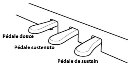 KAWAI CN201 - Pédale douce (gauche) - 2