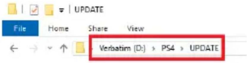 VERBATIM 70374 - Descarga del software para PlayStation® 4 - 1