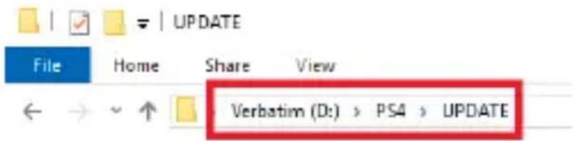 VERBATIM 70374 - Download the PlayStation® 4 Software - 1