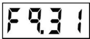 Cummins Onan P2500i - DATA DISPLAY - 1