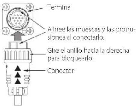 Esoteric Grandioso T1 - A Terminales de entrada/salida de corriente continua (DC IN/DC OUT) - 1