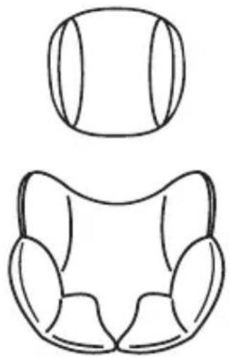 Osann Niki Start - Acolchado para la cabeza e inserto de confort - 1