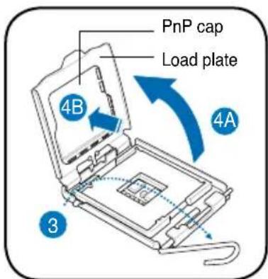 ASUS V3P5G31 - Installing an Intel Pentium 4 CPU in the LGA775 package - 2