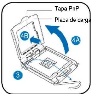 ASUS V3P5G31 - Instalacion del una CPU Intel Pentium 4 en modo LGA775 - 2