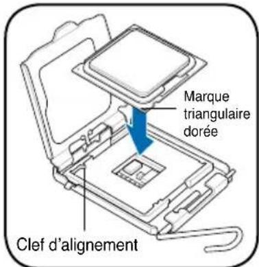 ASUS V3P5G31 - Installer un processeur intel pentium 4 au format LGA775 - 3