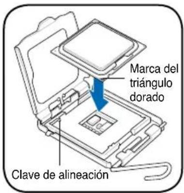 ASUS V3P5G31 - Instalacion del una CPU Intel Pentium 4 en modo LGA775 - 3