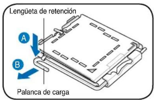 ASUS V3P5G31 - Instalacion del una CPU Intel Pentium 4 en modo LGA775 - 1