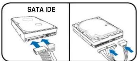 ASUS V3P5G31 - Unidade de disco rígido - 2