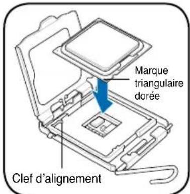 ASUS V2P5G43 - Installer un processeur Intel Pentium 4 au format LGA775 - 3