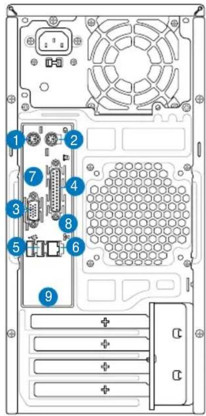 ASUS V2P5G43 - Funzionalità del pannello posteriore - 1