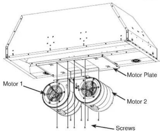 Motor 1 Motor Plate Motor 2 Screws