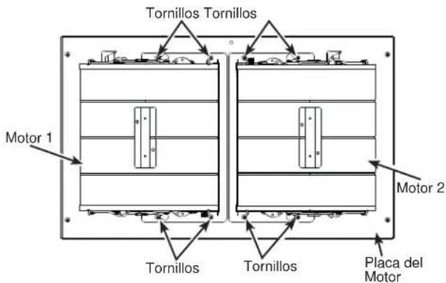 Tornillos Tornillos Motor 1 Tornillos Tornillos Placa del Motor Motor 2