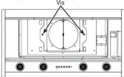 Vis