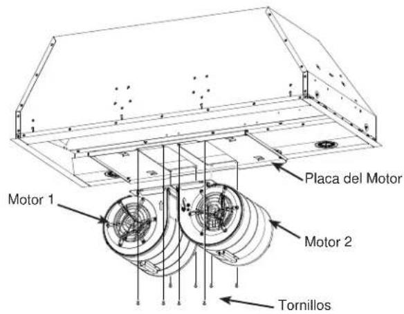 Placa del Motor Motor 1 Motor 2 Tornillos