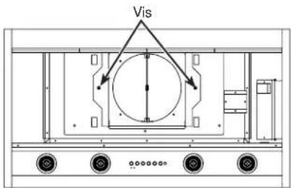 Vis
