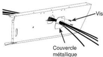 Vis Couvercle métallique