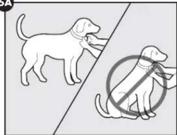 PETSAFE Stay & Play PIF0013663 - ATTENTION - 1