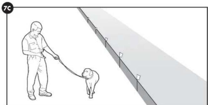 PETSAFE Stay & Play PIF0013663 - Giorni 5-8 - 3