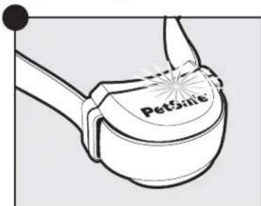 PETSAFE Stay & Play PIF0013663 - Zet de ontvangerhalsband UIT - 4