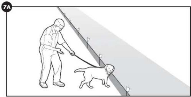 PETSAFE Stay & Play PIF0013663 - Jours 5 à 8 - 1