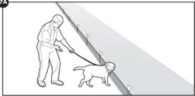 PETSAFE Stay & Play PIF0013663 - Dag 5 - 8 - 1