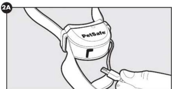 PETSAFE Stay & Play PIF0013663 - Caricamento del collare ricevitore - 1