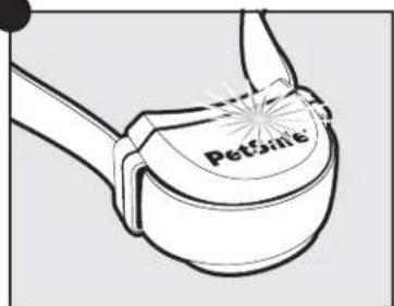 PETSAFE Stay & Play PIF0013663 - Turn the Receiver Collar OFF - 6