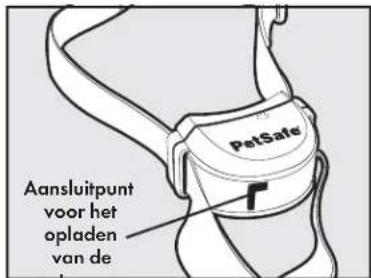 PETSAFE Stay & Play PIF0013663 - Stap 2: De ontvangerhalsband opladen - 3