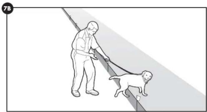PETSAFE Stay & Play PIF0013663 - Dias 5-8 - 2