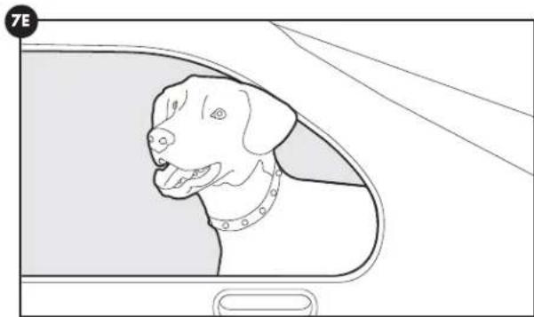 PETSAFE Stay & Play PIF0013663 - Opinion 2: - 2