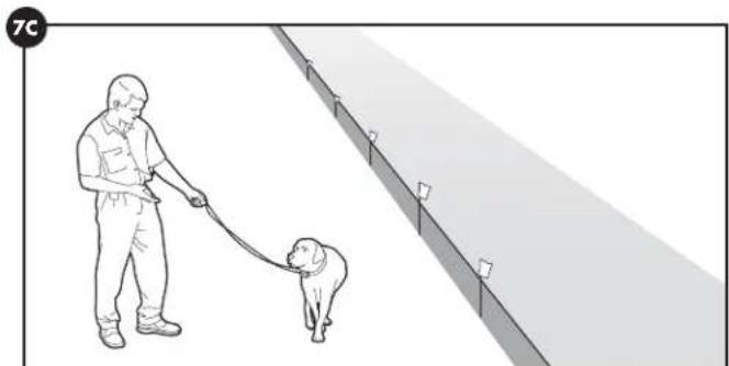 PETSAFE Stay & Play PIF0013663 - Jours 5 à 8 - 3
