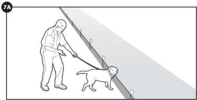 PETSAFE Stay & Play PIF0013663 - Giorni 5-8 - 1