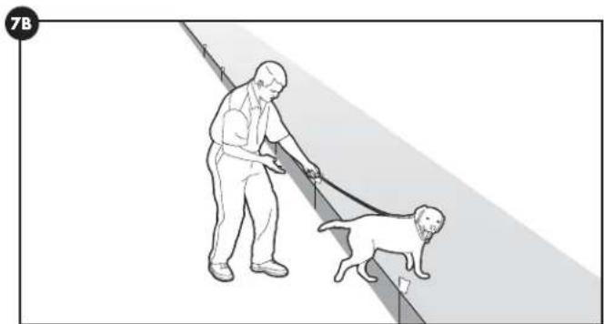 PETSAFE Stay & Play PIF0013663 - Days 5-8 - 2