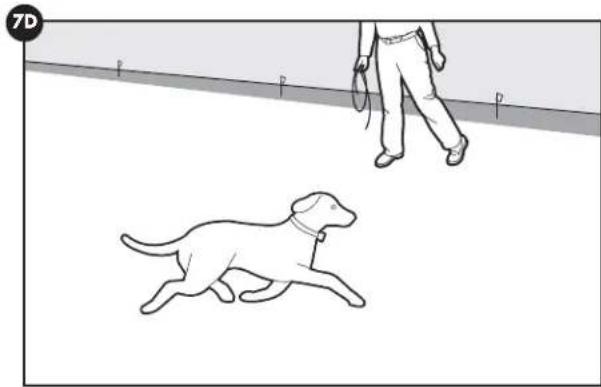 PETSAFE Stay & Play PIF0013663 - Opinion 2: - 1