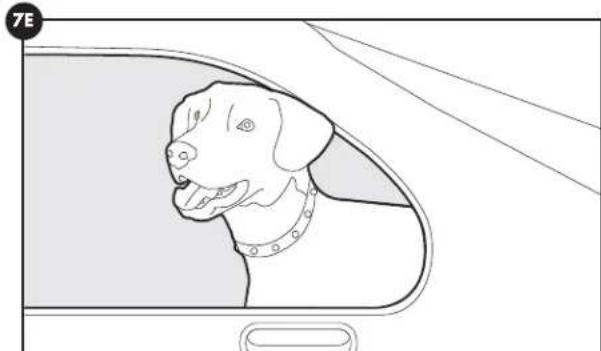 PETSAFE Stay & Play PIF0013663 - Option 1: - 2