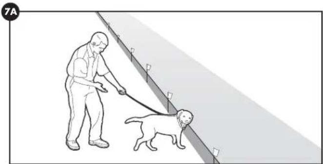 PETSAFE Stay & Play PIF0013663 - Tag 5-8 - 1