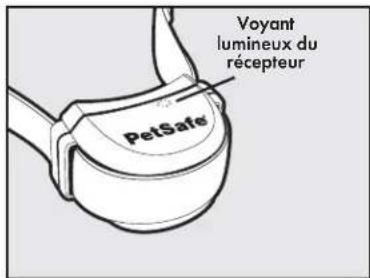 PETSAFE Stay & Play PIF0013663 - Étape 2 : Chargement du collier-recepteur - 1
