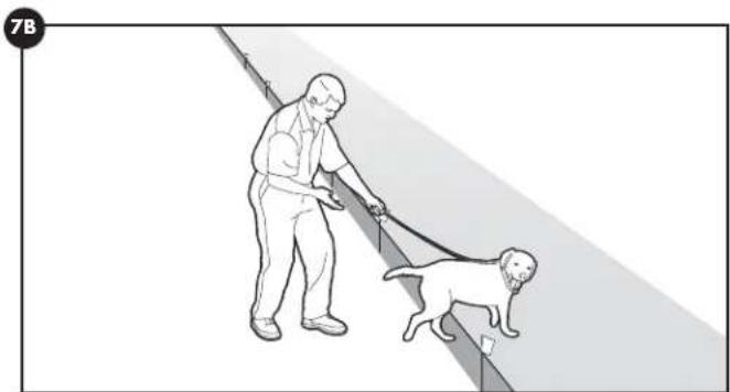 PETSAFE Stay & Play PIF0013663 - Tag 5-8 - 2