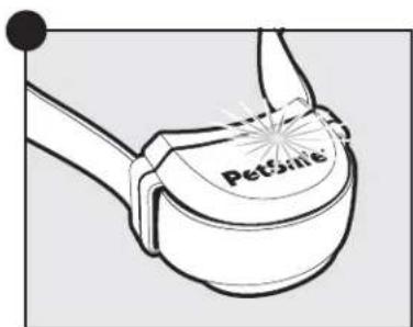 PETSAFE Stay & Play PIF0013663 - Apagar el collar receptor - 3