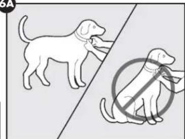 PETSAFE Stay & Play PIF0013663 - VOORZICTIG - 1