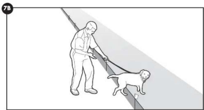 PETSAFE Stay & Play PIF0013663 - Giorni 5-8 - 2