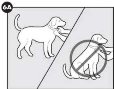 PETSAFE Stay & Play PIF0013663 - CAUTION - 1