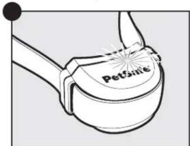 PETSAFE Stay & Play PIF0013663 - Spagnere il collare ricevitore - 3