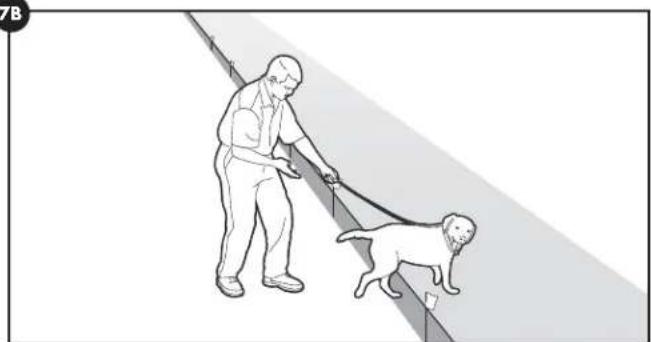 PETSAFE Stay & Play PIF0013663 - Dag 5 - 8 - 2