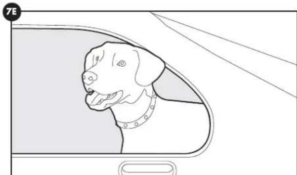 PETSAFE Stay & Play PIF0013663 - Opzione 2: - 2