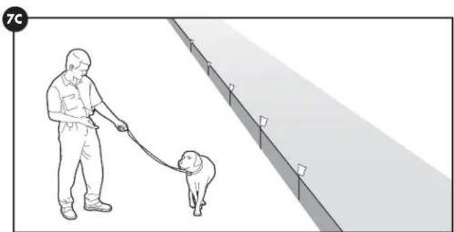PETSAFE Stay & Play PIF0013663 - Tag 5-8 - 3