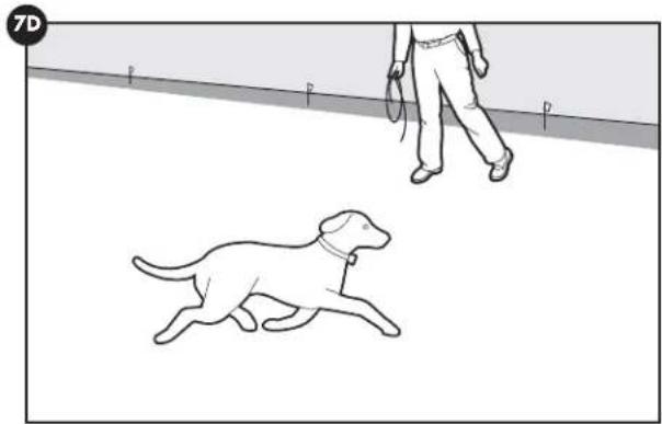 PETSAFE Stay & Play PIF0013663 - Option 2: - 1