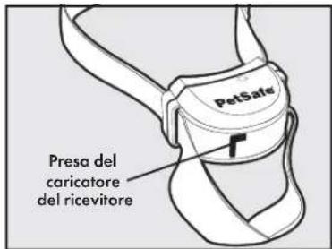 PETSAFE Stay & Play PIF0013663 - Fase 2: caricamento del collare ricevitore - 3