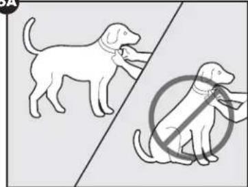 PETSAFE Stay & Play PIF0013663 - ATENCIón - 1