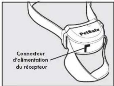 PETSAFE Stay & Play PIF0013663 - Étape 2 : Chargement du collier-recepteur - 3